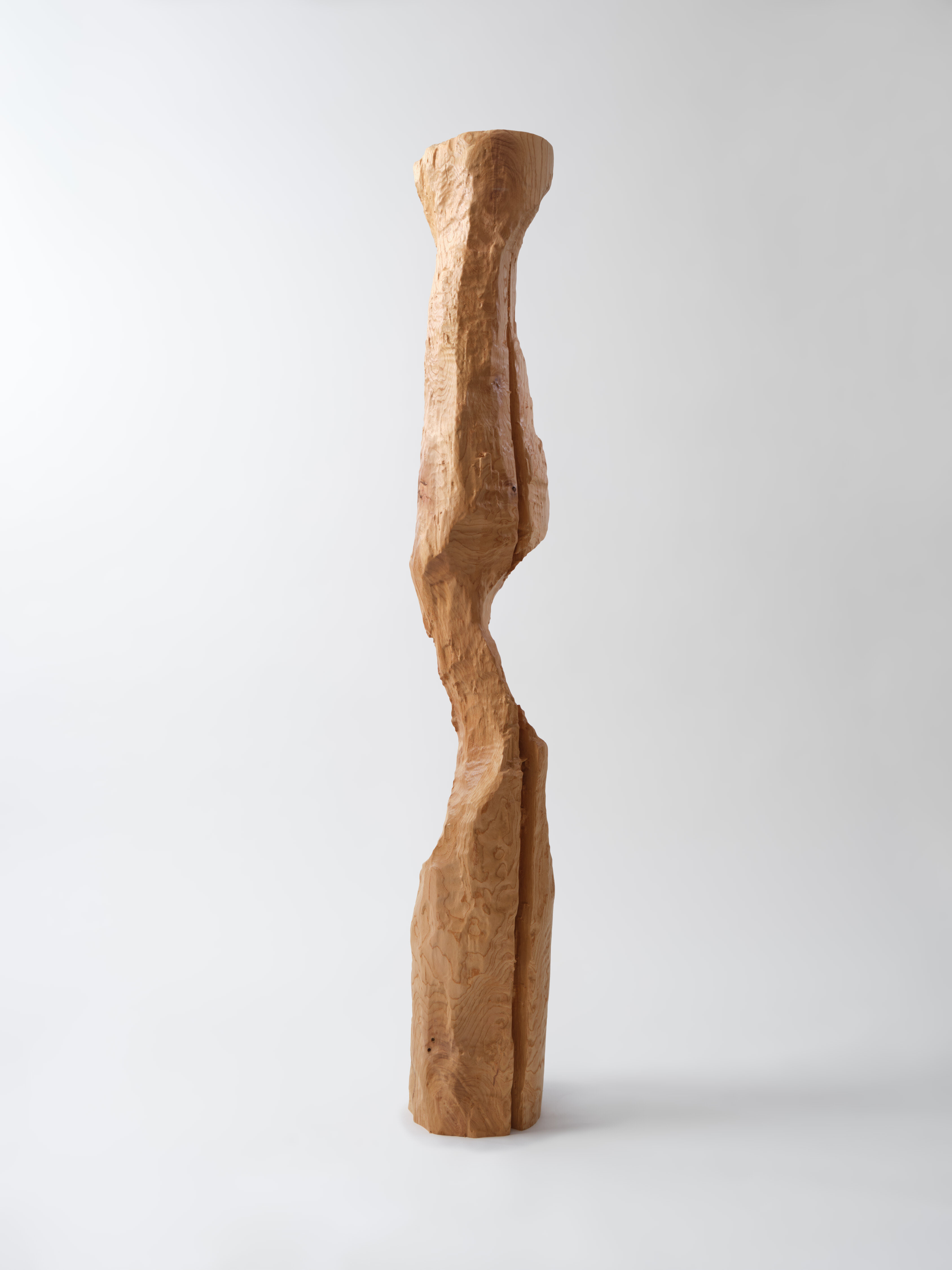 展示３AKI INOMATA(アキ イノマタ)の作品「彫刻のつくりかた」の写真。