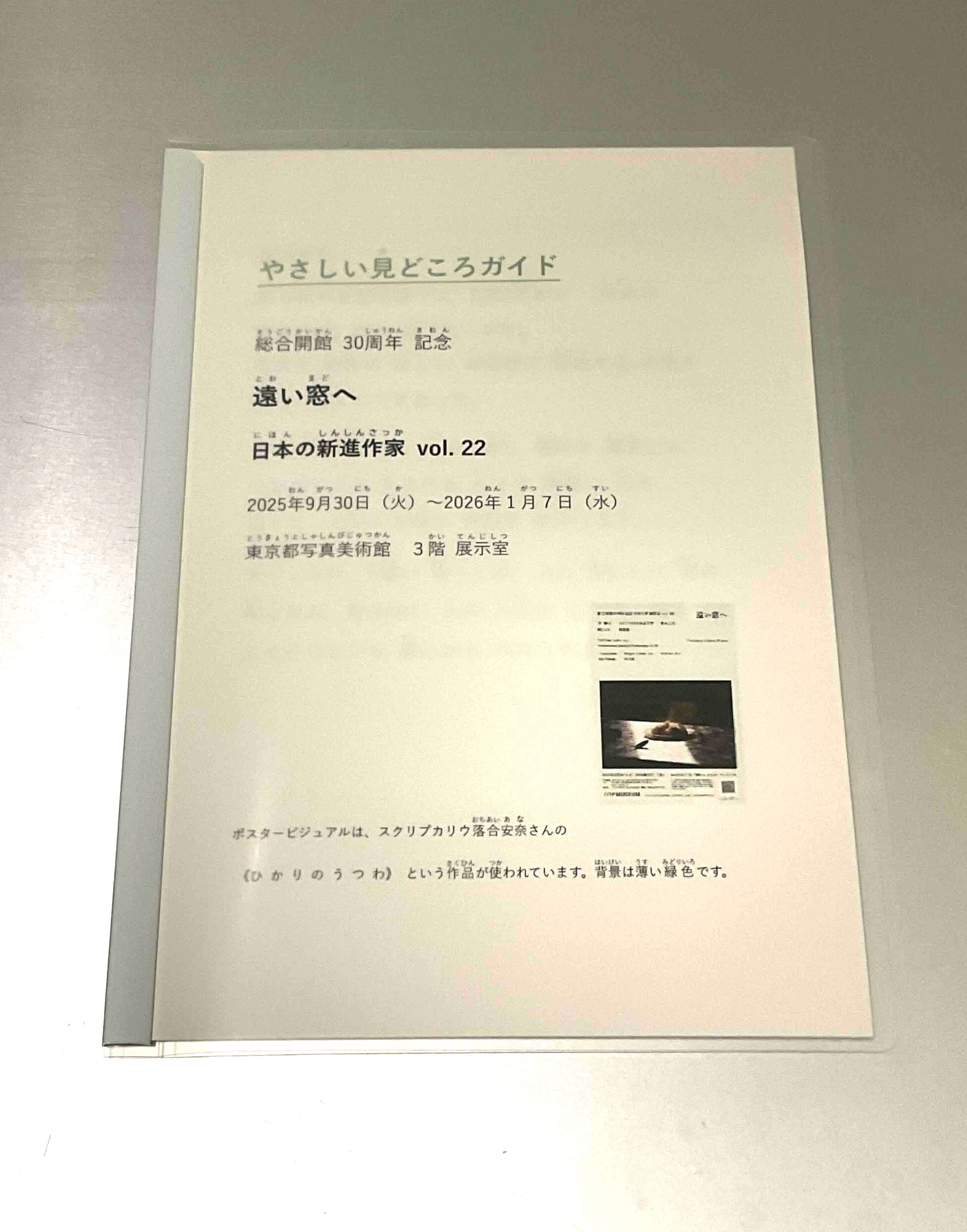 やさしい見どころガイド表紙の写真