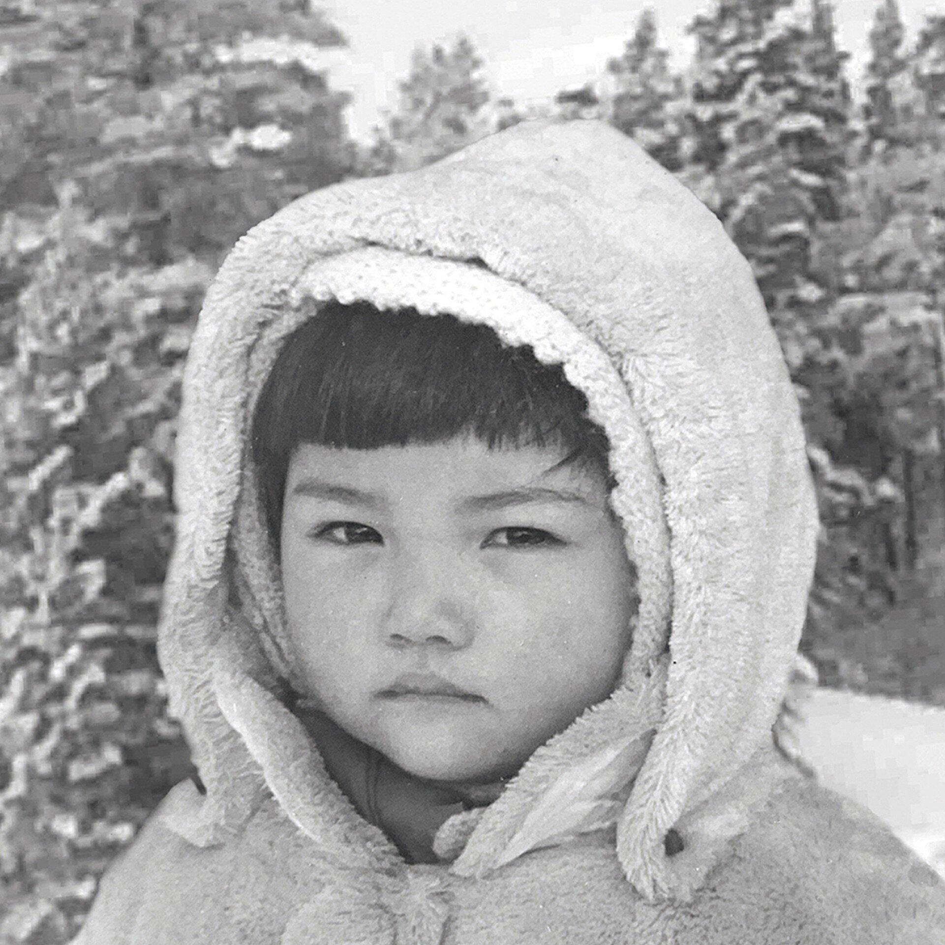 鴻池朋子（こうのいけともこ）の顔写真。